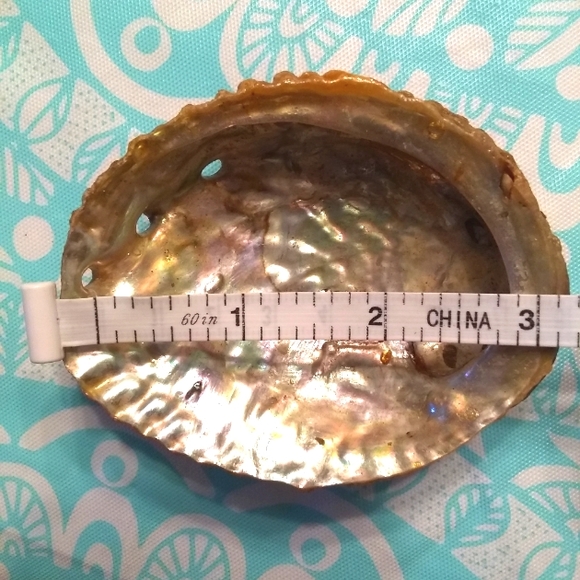 White Sage Bundle, Palo Santo Sticks & Abalone Shell - Picture 2 of 3